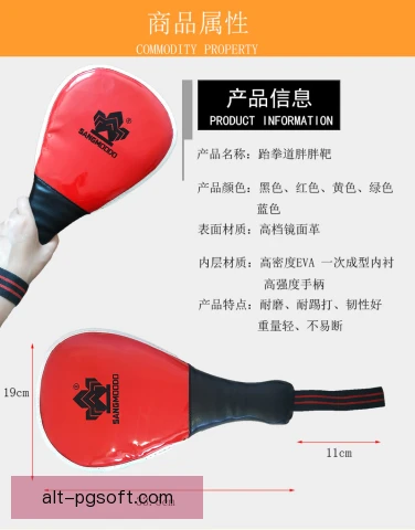 跆拳道打靶训练升级，实战反应与命中精度同步提升